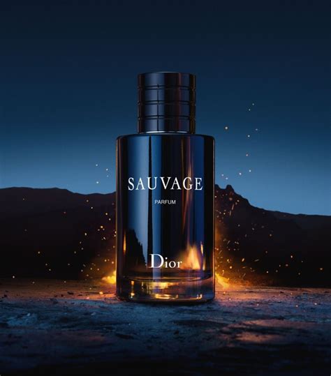 dior sauvage descrizione|fragrances like Dior Sauvage.